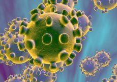 Coronavirus, dati emessi dalla Regione sui contagiati: a San Lorenzo in Campo nessuno risulta positivo